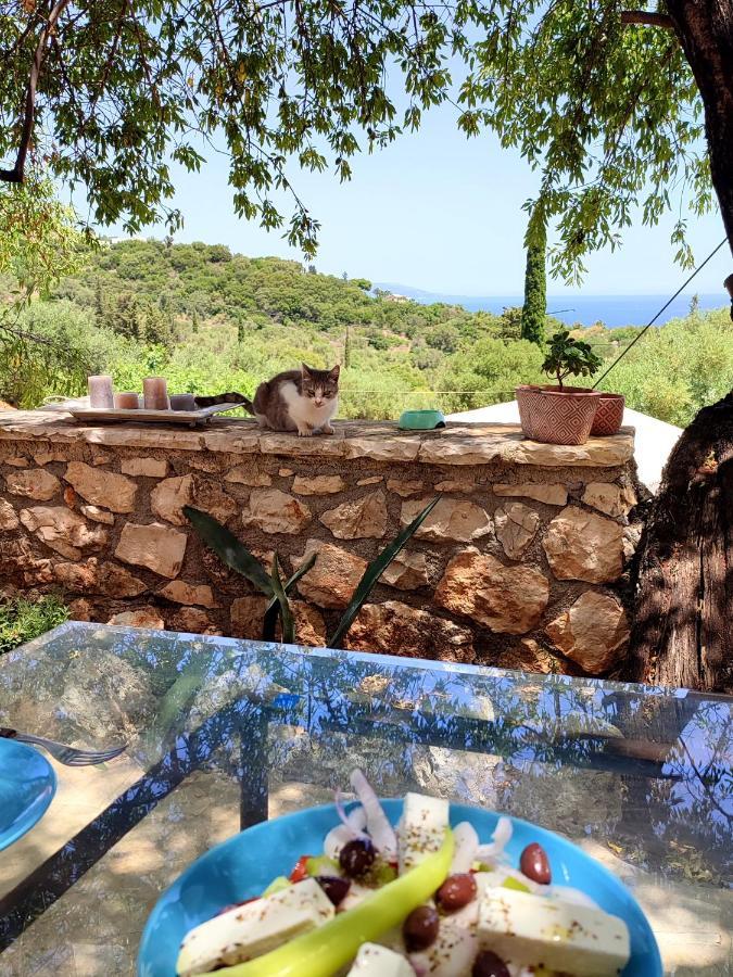 Amygdalo Spiti Villa Agios Nikolaos  Exterior foto